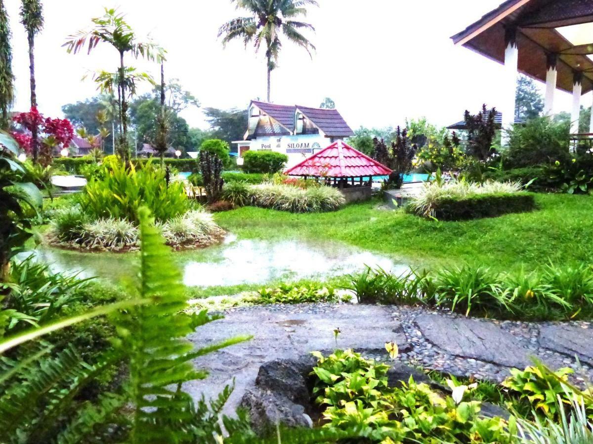 Toraja Torsina Hotel Рантепао Экстерьер фото