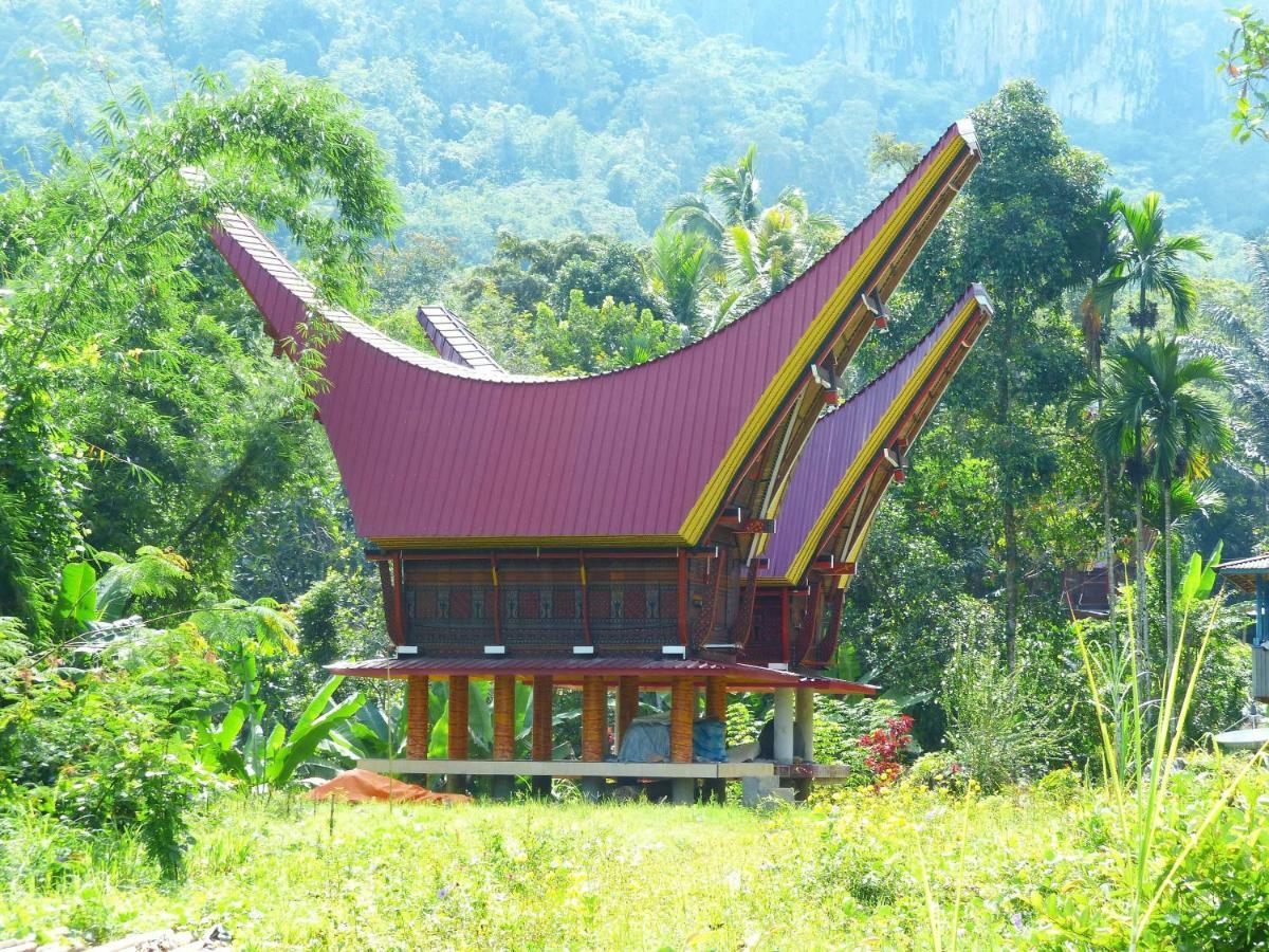 Toraja Torsina Hotel Рантепао Экстерьер фото
